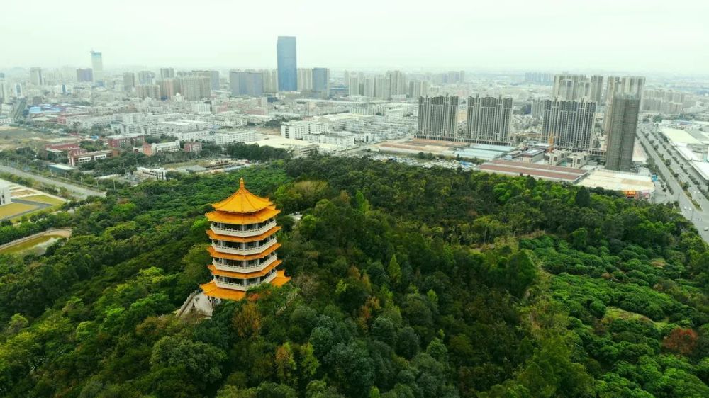 厚街福神崗角逐東莞