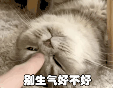 亲生的!随我!随我!随我!★爱人惹你生气时候,请静下心来默念:我选的!