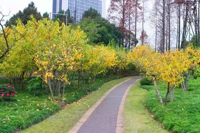 地鐵,上海長風海洋世界,華東理工大學,真如寺,上海,長風公園