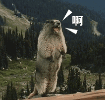 贾晓晨|她女儿真的好漂亮啊！