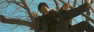 冬泳怪鸽就是当代hello树先生