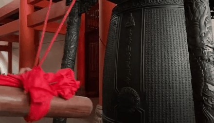 440_253gif 动态图 动图
