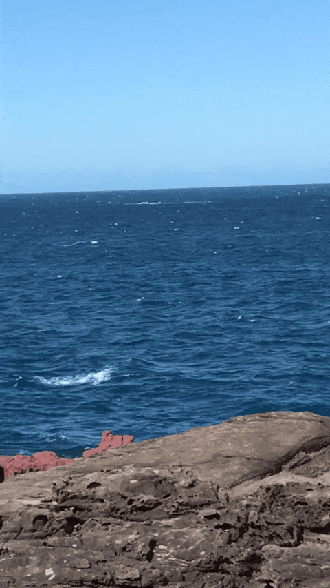 480_853竖版 竖屏gif 动态图 动图