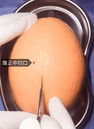 320_436竖版 竖屏gif 动态图 动图