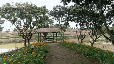 摘草莓去呀~这里的草莓,养在山坳里用山泉水灌溉,格外秀气阳光田园的
