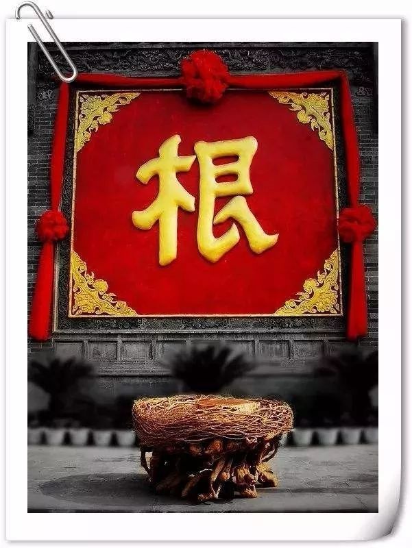 寻根式过年