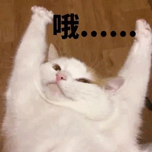 300_300gif 动态图 动图