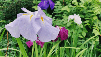 Q Tbn 3aand9gctytvqk521itkdorbltxo Phbj3hlbxm7cdkg Usqp Cau