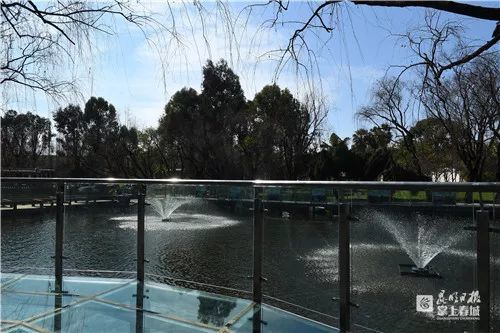 水景观再升级 西华公园新建亲水玻璃栈道