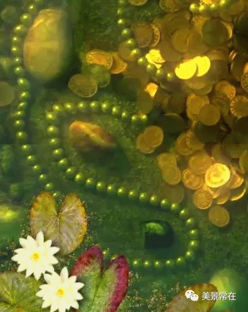 486_610竖版 竖屏gif 动态图 动图