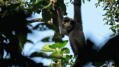 宅在家里作贡献,支棱起来吧!