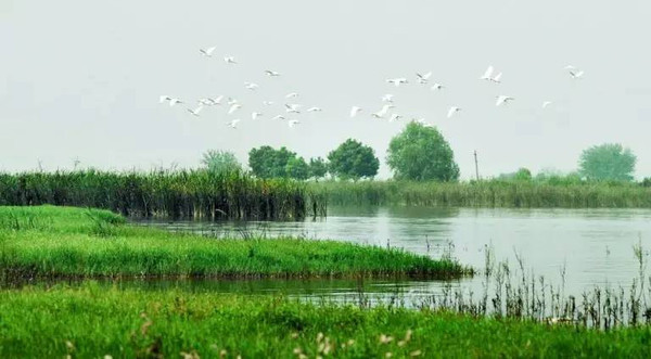 一位老武汉总结的经典武汉旅游攻略