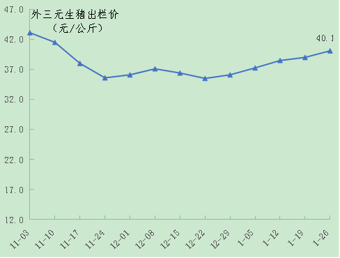 春節期間豬價猛漲,元宵節前尚無回落動因!-天天快報