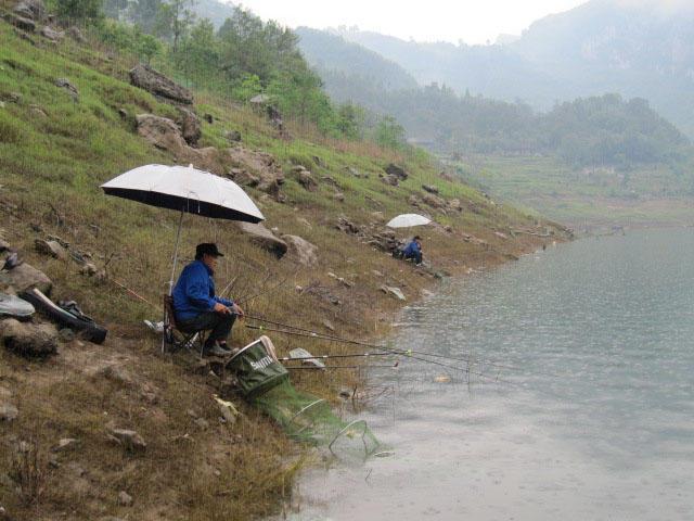 钓鱼,丁桂鱼,钓法