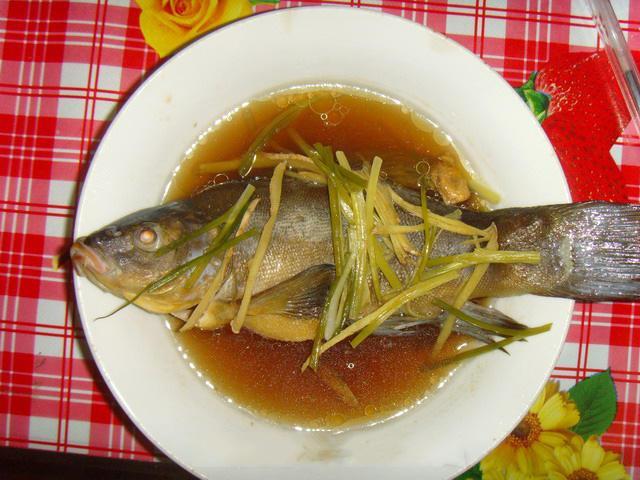 钓鱼,丁桂鱼,钓法