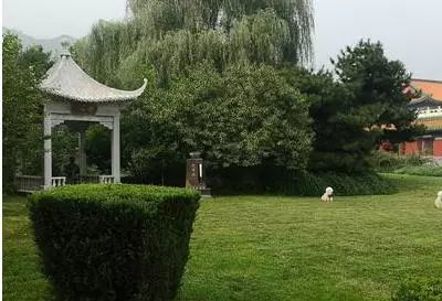 侯宝林,德云社,相声,侯耀文,王雅兰