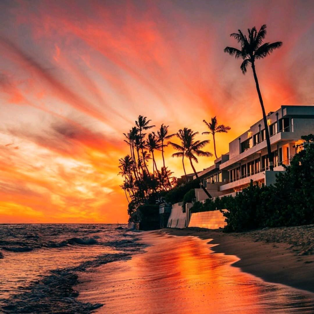 唯美·ins风背景图:阳光和你同在,就是我想要的未来!