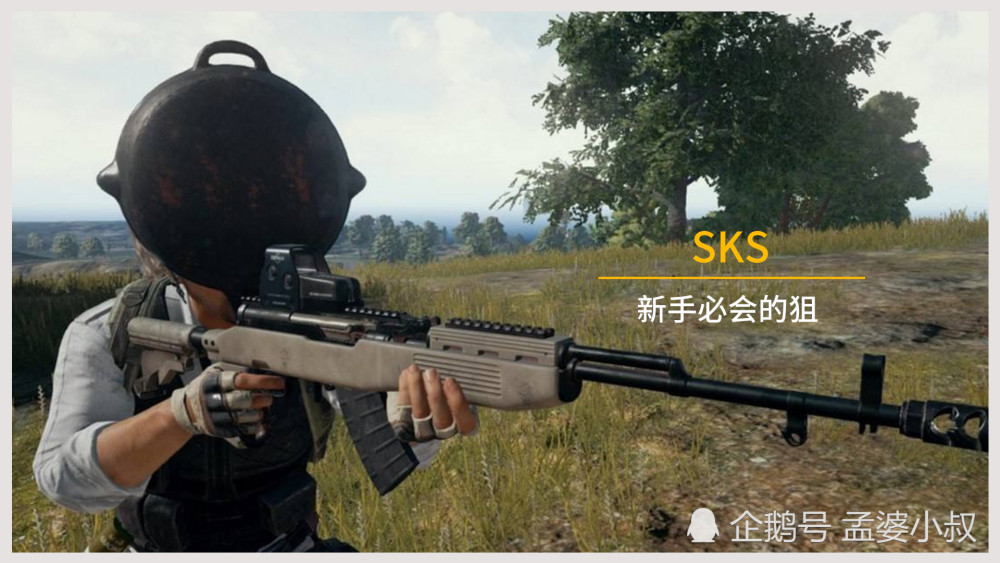 和平精英:新手必会的狙,迷你还是sks?答案是冷门的它