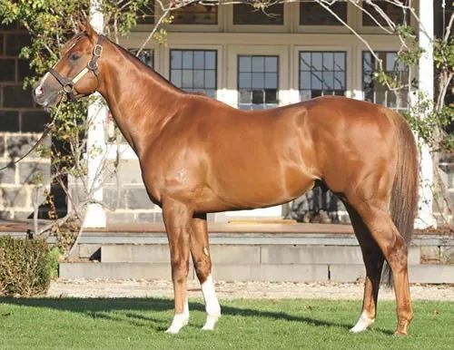 "星条旗"(starspangledbanner)