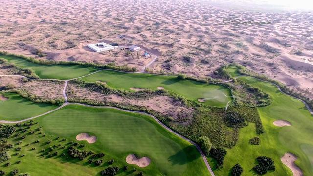 280多平方公里,我国沙漠树木超11.2万公顷