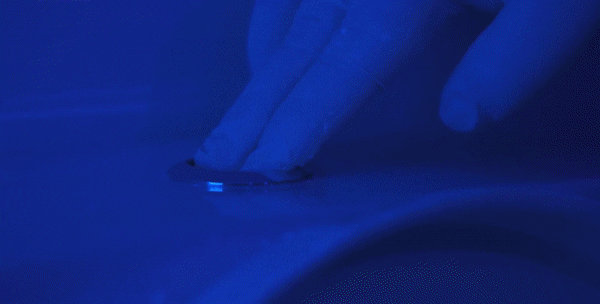 马桶|冲厕所时，到底要不要盖马桶盖？