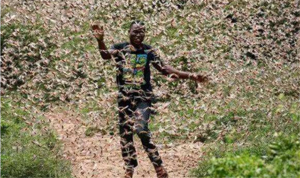 70万大军或被迫撤退,印巴和解不再遥远