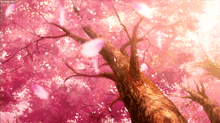 440_247gif 动态图 动图