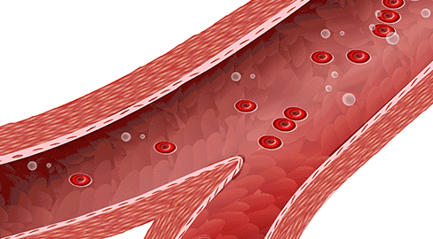 血管|血管好不好，看2处就知道！从不做这5件事的人，血管更年轻