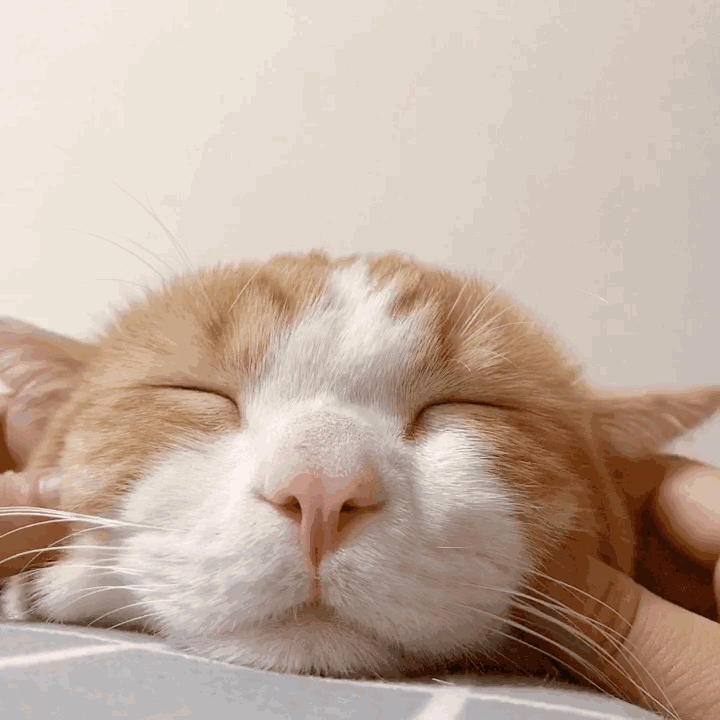 720_720gif 动态图 动图