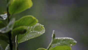 心脏|高温天容易“情绪中暑”！有这些症状的人心脏危险了