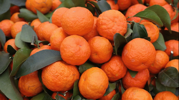 609_342gif 动态图 动图