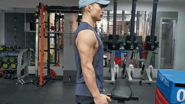 【动作】:板凳臂屈伸——一个危险动作的自白