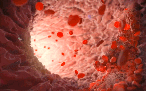 阿尔茨海默病|关乎寿命长短的4个指标，每个中年人都该学会“稳住”它们