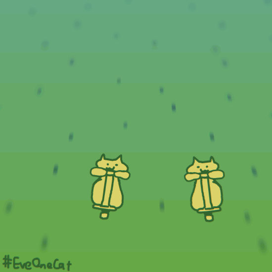 超火的追火车猫表情包怎么这么魔性哈哈哈哈哈