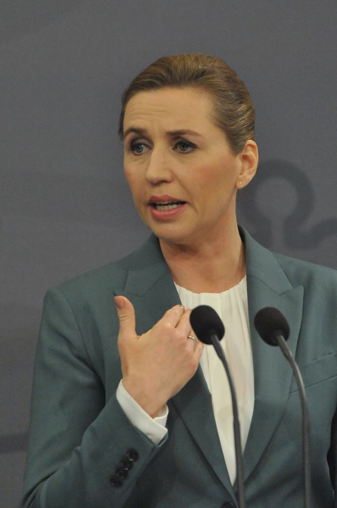 (丹麦首相)