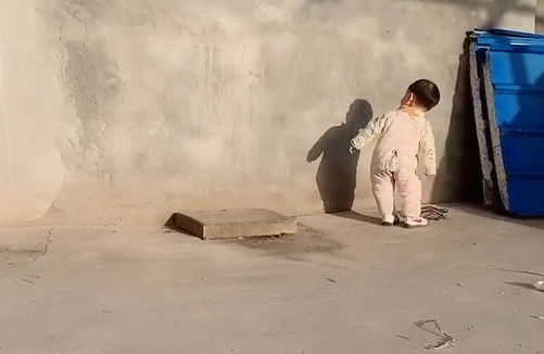 "影子宝宝"自我陶醉走红,网友笑翻:小朋友,你是否有很多问号?