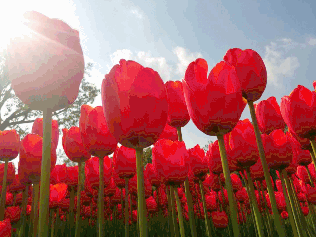 640_480gif 动态图 动图