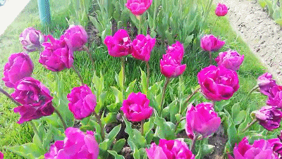 400_226gif 动态图 动图