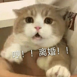 厦门结婚30多年的老夫妻闹离婚女方获补偿金20万理由是