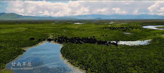 560_252gif 动态图 动图