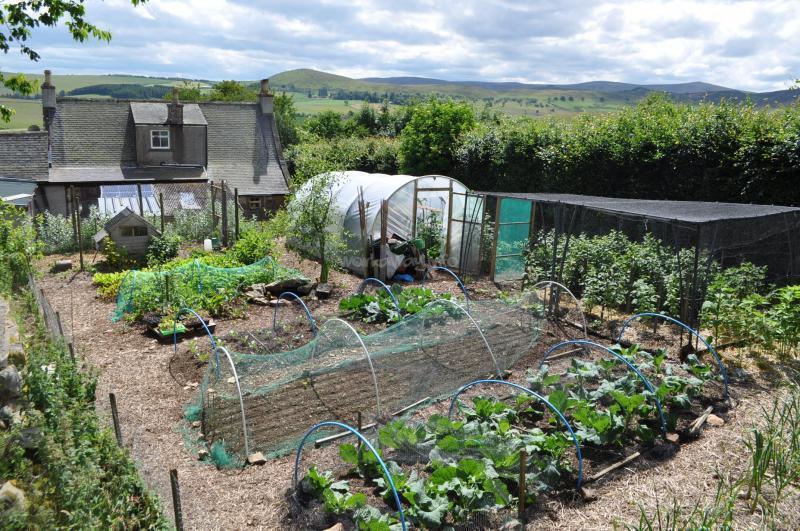 英国富翁花12亿购买农场 打造成自给自足模式 居家隔离应对疫情
