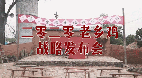 岳云鹏|岳云鹏被全民喊话？
