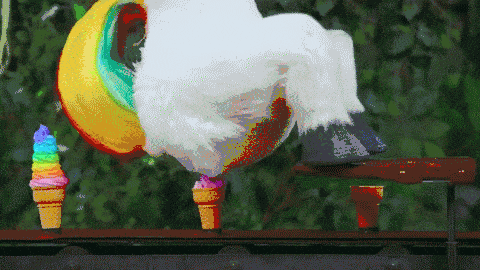 480_270gif 动态图 动图