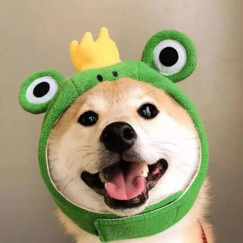 微信头像库|百看不厌的头像