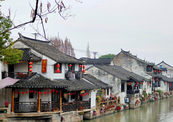 牆簷玉窗處開著海棠,水岸屋簷上開著泡桐花,金山區楓涇古鎮以江南水鄉