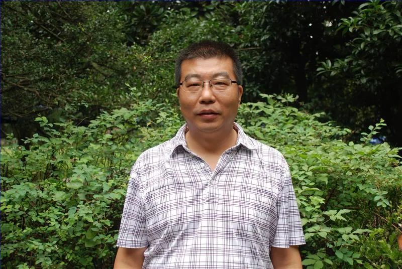 杨靖,南京师范大学外国语学院教授