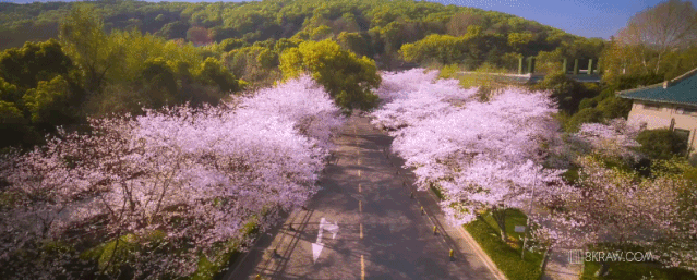 639_257gif 动态图 动图