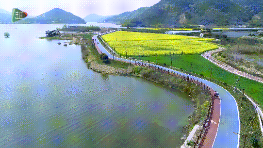 百亩梨花,十里桃花……诸暨隐藏了这么多赏花秘境,我居然不知道!