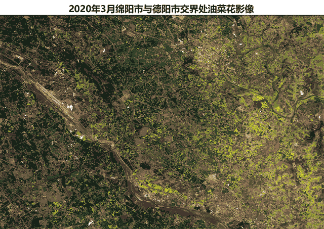 2020年四川油菜花开时卫星带你赏美景