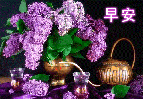 6月16日周二最新早上好问候动态表情图片暖心早上好图片表情祝福语录